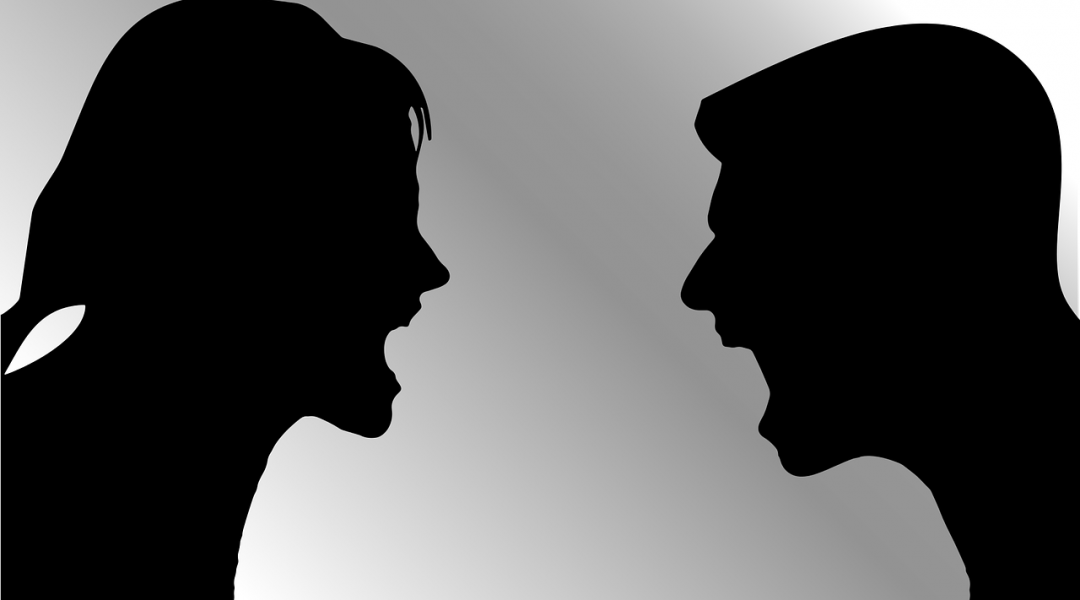 cnv comunicacao nao violenta