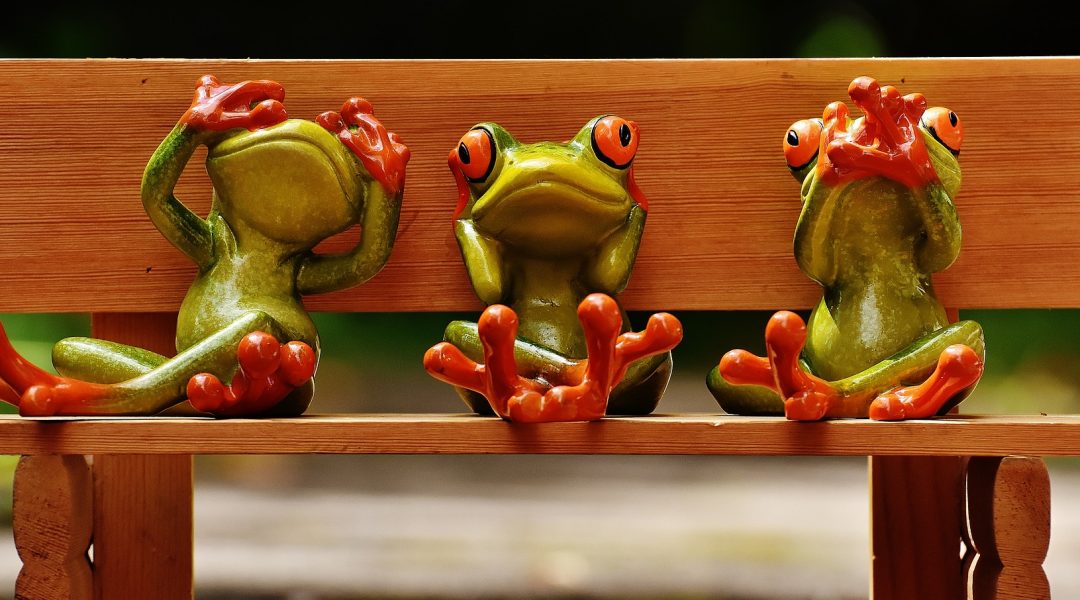 canais dialogo publico alvo