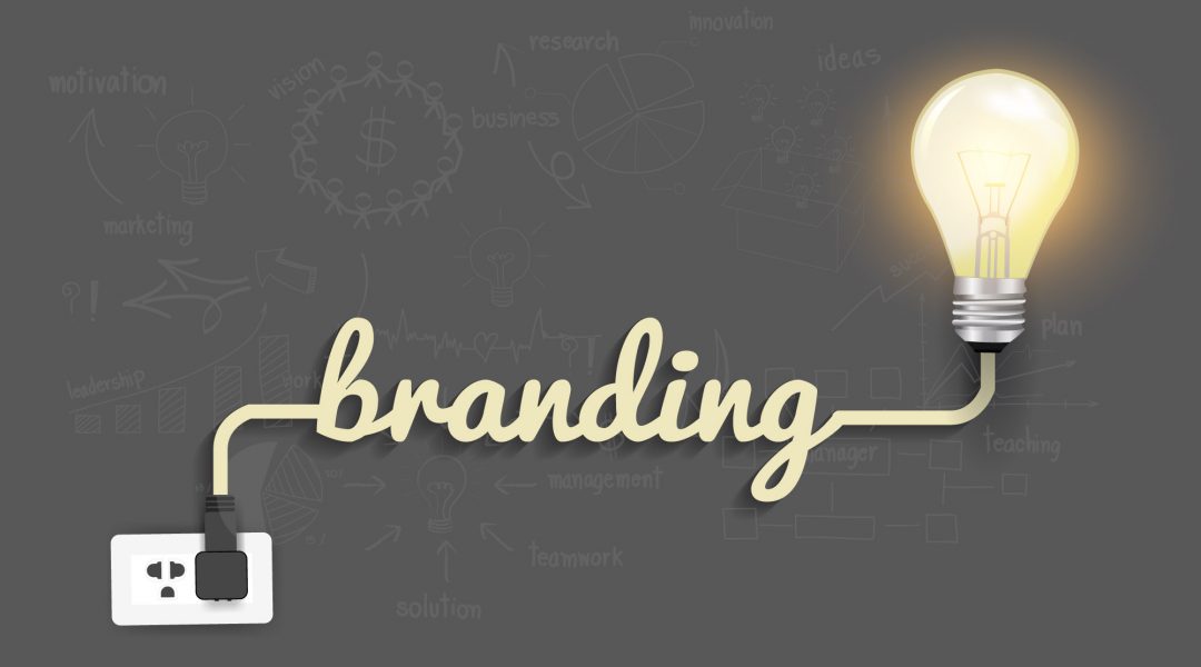 construir branding divulgacao noticias